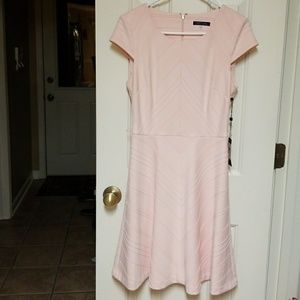 Tommy Hilfiger Rib- Knit Belted Fit & Flare Dress